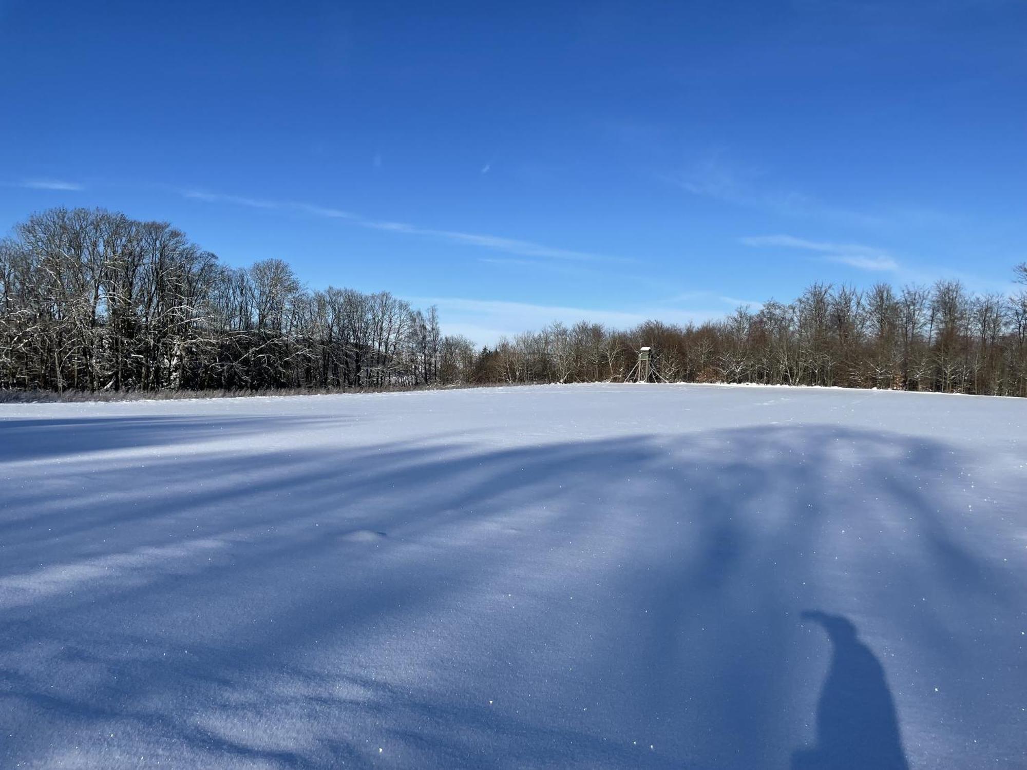 Gittas Paradiesperle Niederdreisbach Exteriör bild