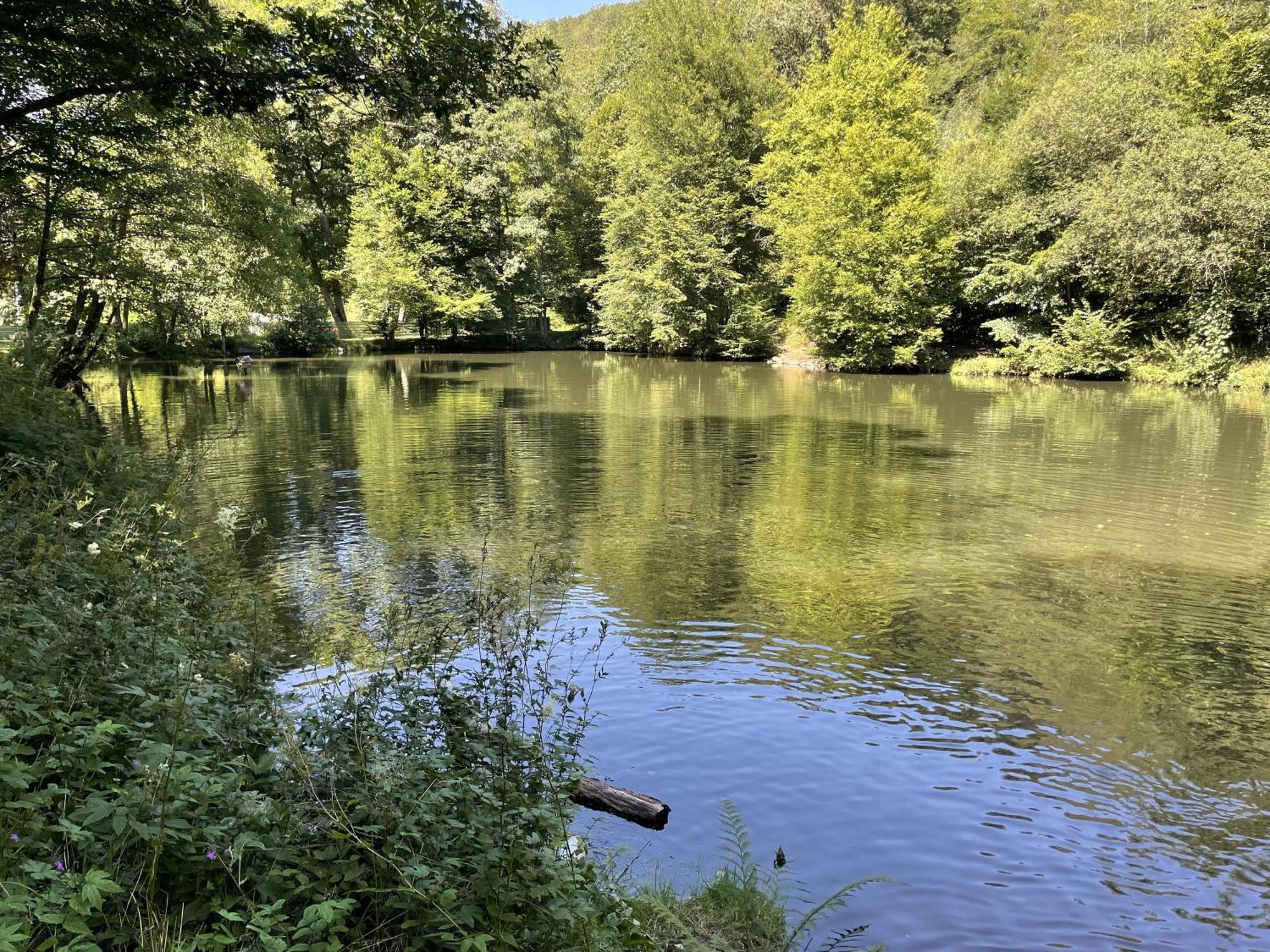 Gittas Paradiesperle Niederdreisbach Exteriör bild