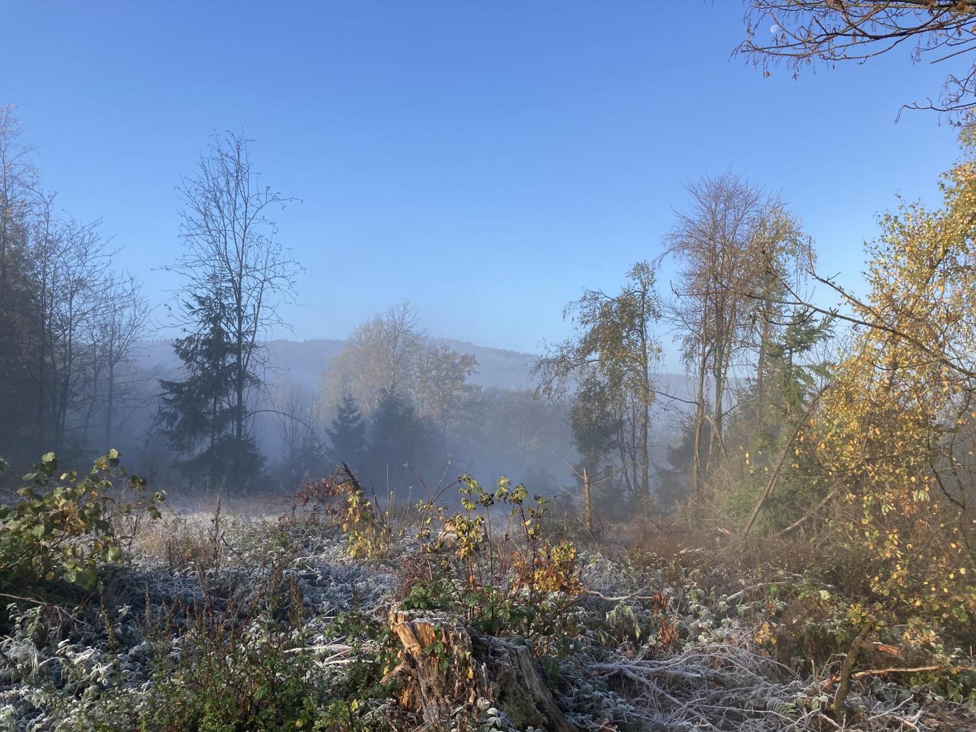 Gittas Paradiesperle Niederdreisbach Exteriör bild