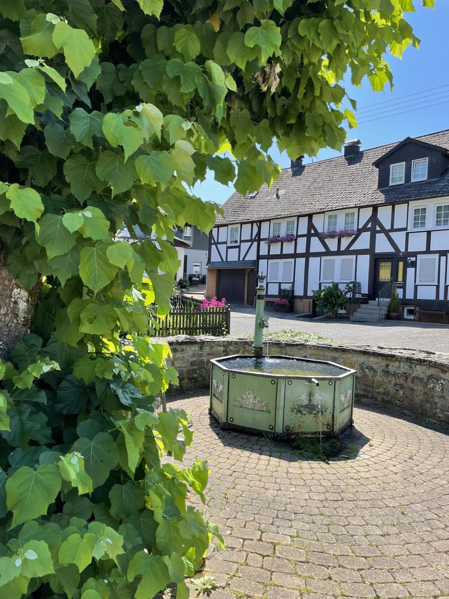 Gittas Paradiesperle Niederdreisbach Exteriör bild