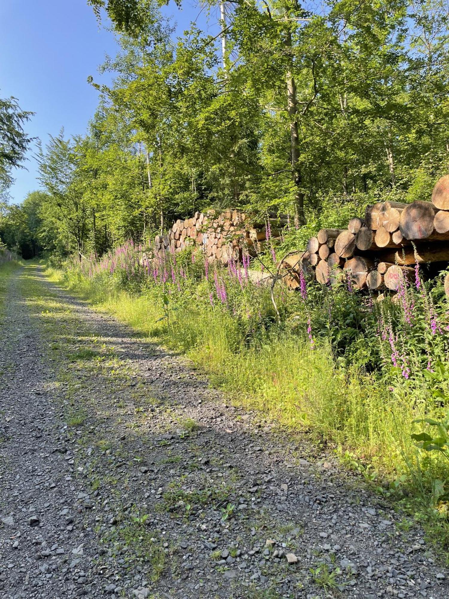Gittas Paradiesperle Niederdreisbach Exteriör bild