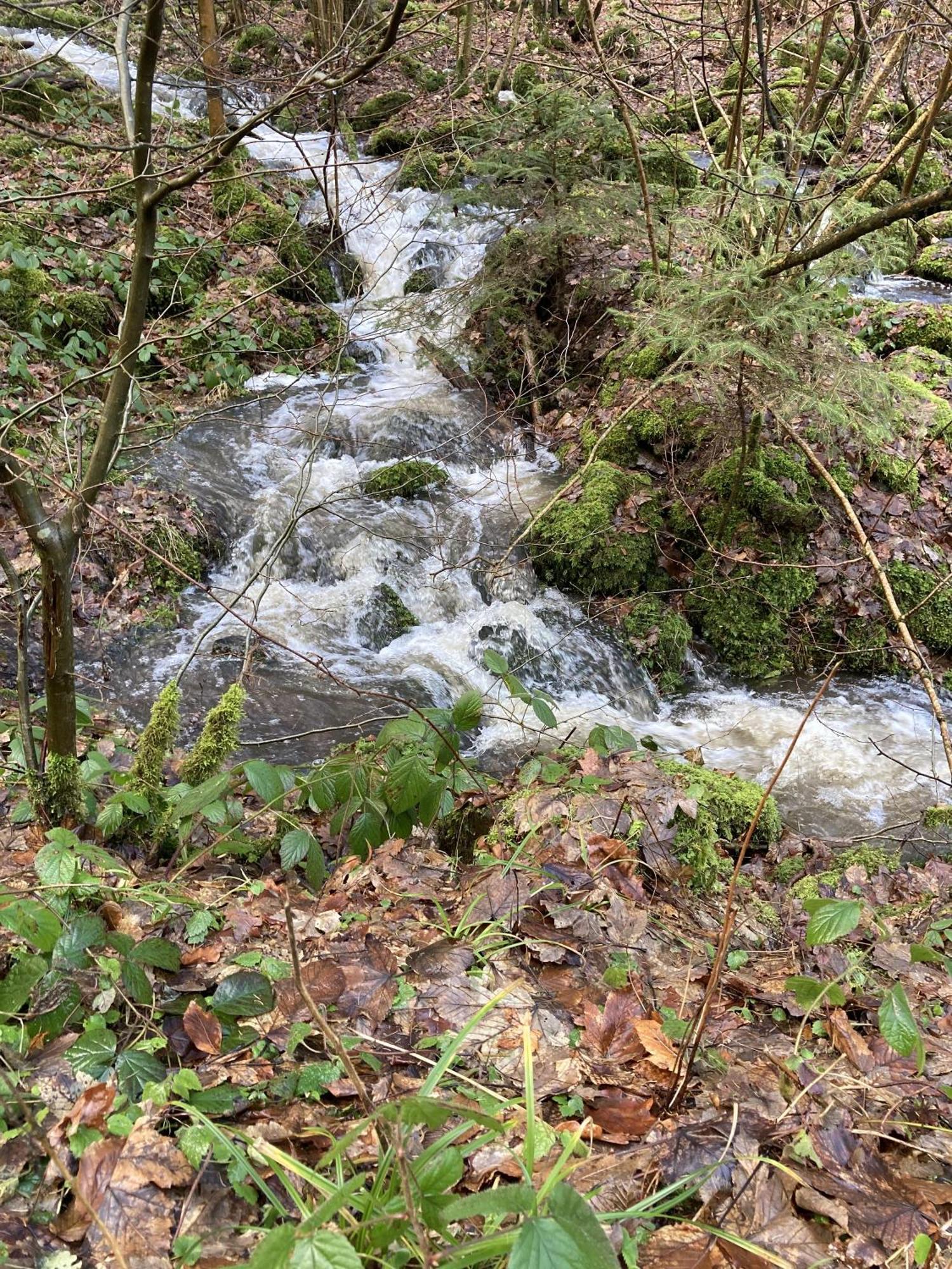 Gittas Paradiesperle Niederdreisbach Exteriör bild