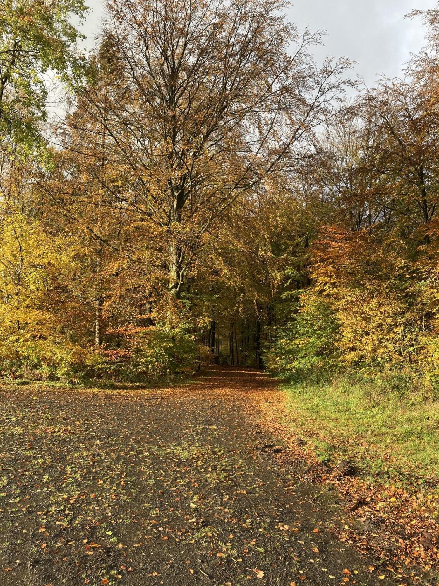 Gittas Paradiesperle Niederdreisbach Exteriör bild